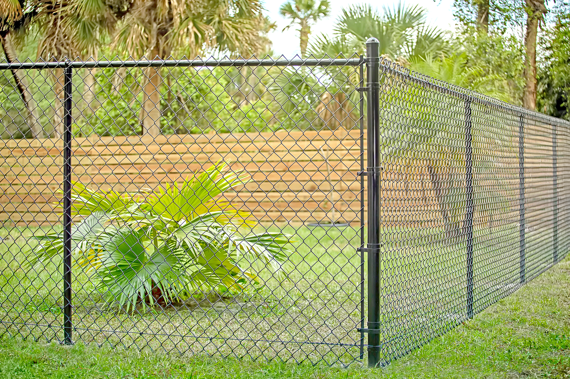 Daly Fence Chain Link Fences